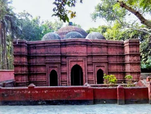 শালিখায় আঙুর চাষে সফল প্রবাসফেরত কৃষক, দেখতে ভিড় করছেন দর্শনার্থীরা