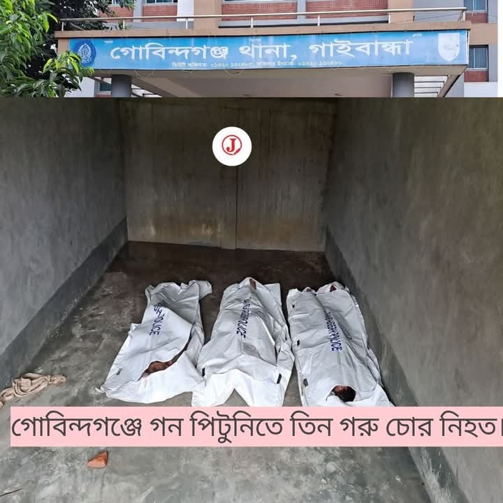 গোবিন্দগঞ্জে গণপিটু*নিতে ৩ গরুচোর নি'*হত